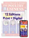 Print + Digital - Annual Subscription (1 Year)